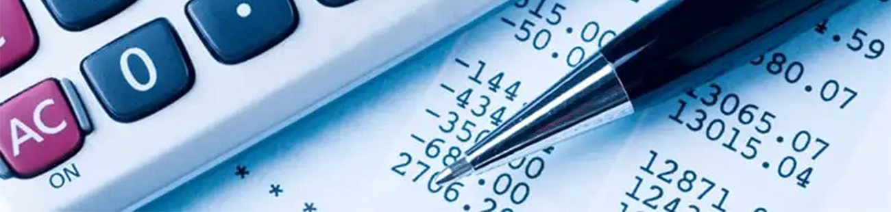 2025 Yılı Alternatif Bütçe Çalışmaları