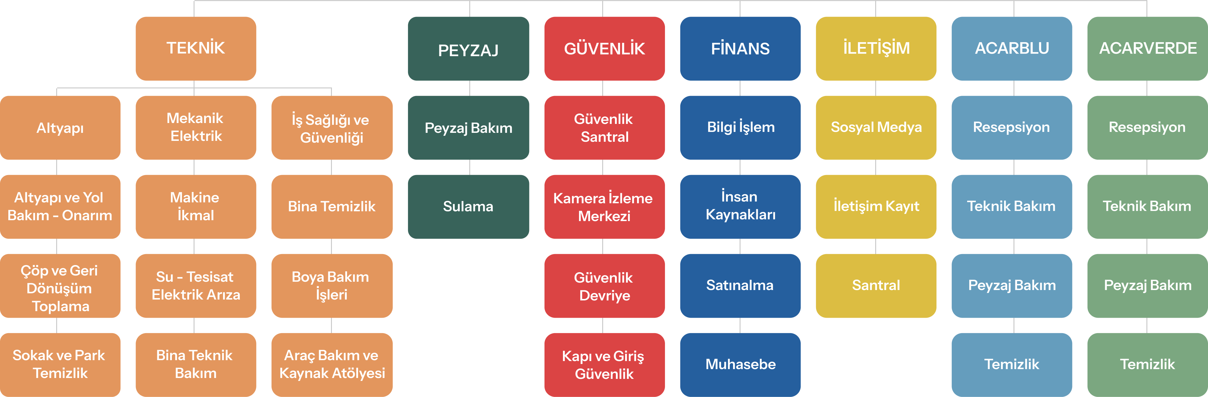 Yönetim ve Organizasyon Yapısı